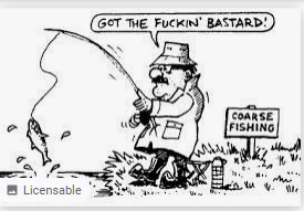 http://adeleleahy.ie/wp-content/uploads/2021/05/Viz-coarse-fishing.png