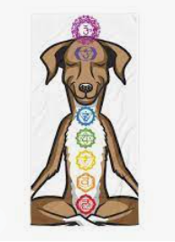 Reiki 2024 for dogs